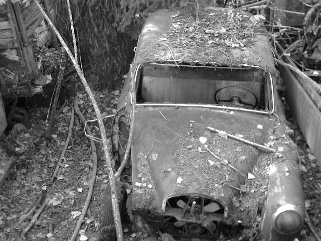 Autofriedhof - 122.JPG - Historischer Autofriedhof,    Gürbetal (CH)